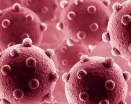 寄香港验血几天出来_香港验血xx之前做过人流_测胎儿到底准不准别不信!