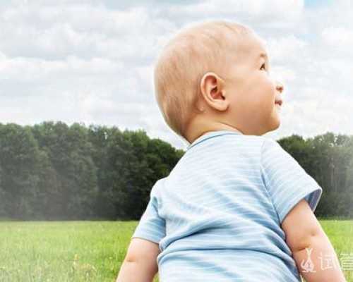 香港生男生女验血机构_香港验血机构准不准_怀孕香港验血多久最好!