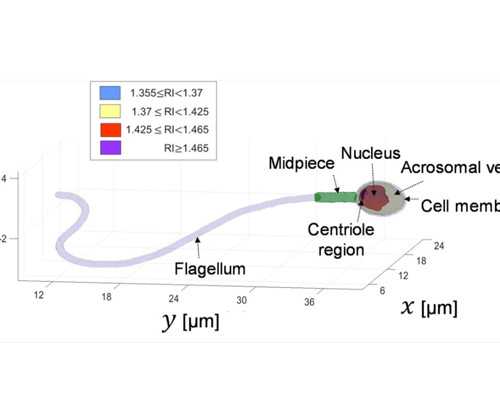 深圳中介香港验血准不准_香港验血报告怎么验证准不准_胎儿性别检测真的准确