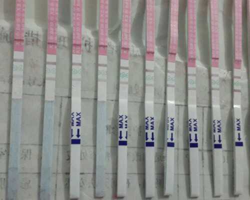 佛系古玩人生_第一届“北京·现场”行为艺术节将在北京举办