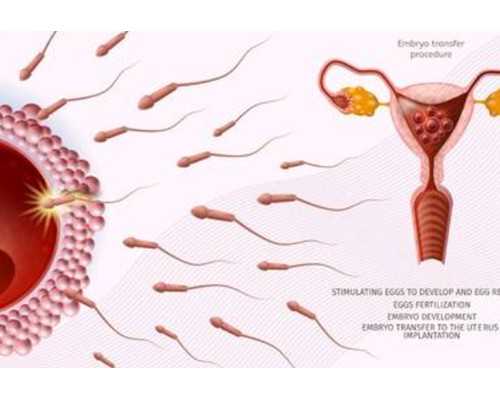 广州香港验血检查 几周_香港验血鉴别男女经验_查男女哪个化验所最准确!