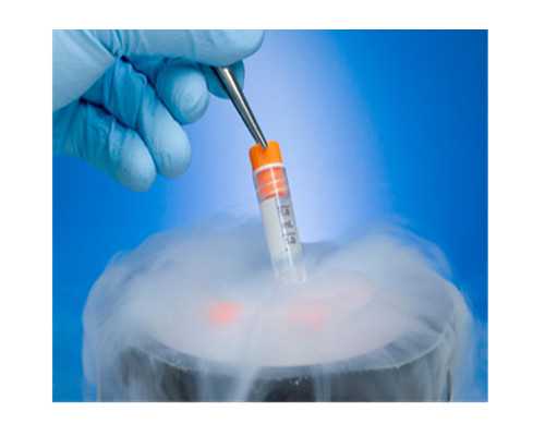 甲亢患者备孕需注意事项，其中甲亢会遗传吗最受关注-代生服务