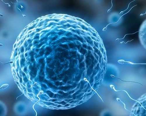 香港验血找什么医生_香港验血检测男女几周可以_查男女大概需要多少钱