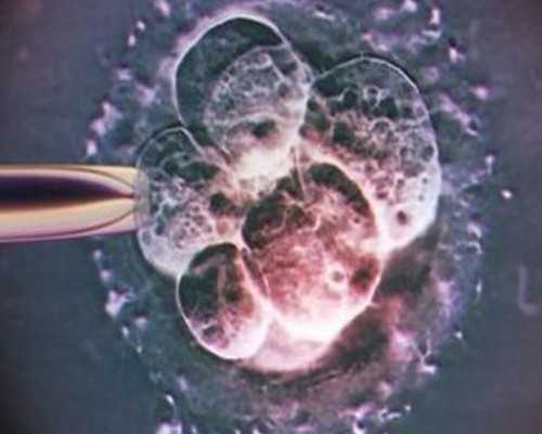 盐城有几个古玩市场_感悟和风雅颂，刘广文水墨荷花展开幕