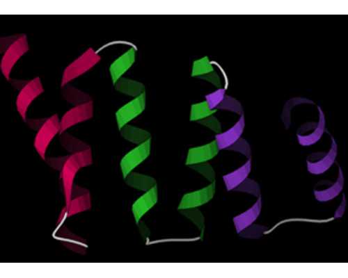 香港验血pg网页_香港验血看男女报告单准不准_验血查男女准不准!