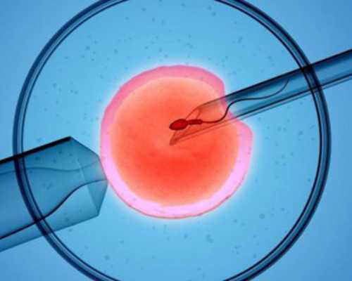 女主是古玩鉴定师的小说_500张照片忠实记录成都文化片断