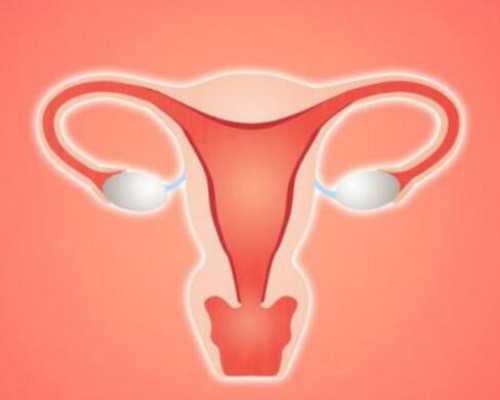 促排卵月经第几天监测卵泡,月经过后第三天会排卵吗-代孕网站包成功