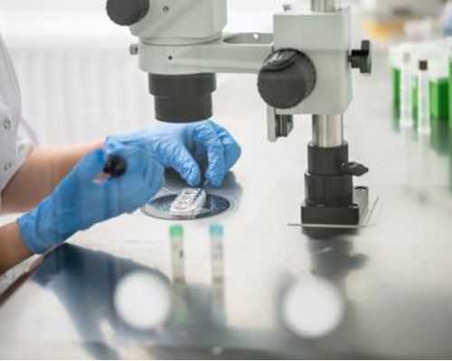 怀孕多久可以香港验血_香港验血胚芽多大可以,测胎儿到底准不准别不信