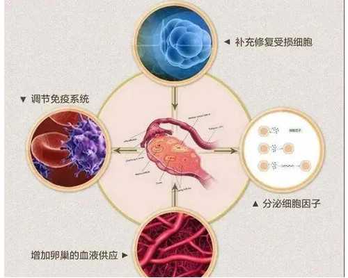 7788古玩交易在线播放_中国文联在江西景德镇召开中外艺术家座谈会