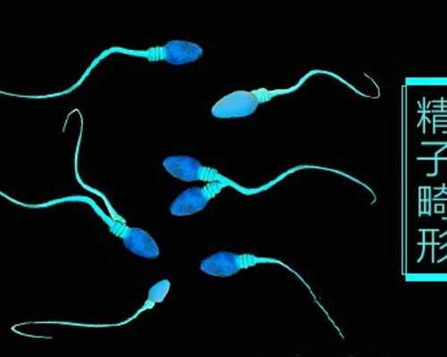 住四合院捡漏古玩的小说下载_志愿者画《志愿者》——《向疫而行》创作札记