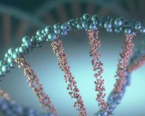 宫腔分离能自己排出来吗-单身可以代孕么