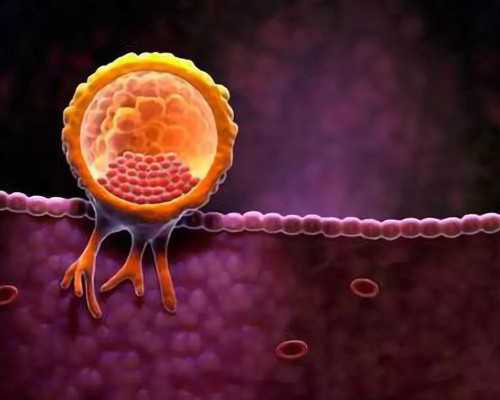 香港邮寄验血3000块_香港验血报告会有假吗_会不会翻盘真的准确吗!