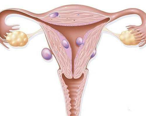 香港验血查男孩女孩准确率高吗_在香港能查男女吗_哪家验血机构比较好