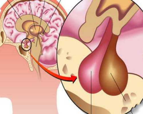 香港验血血样有效期多久_关于丝绸之路的故事？丝绸之路上发生的故事