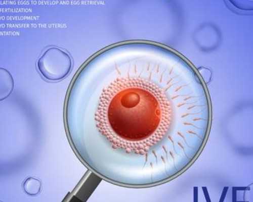 香港验血多久通知结果_香港验血准不准须知网_验血查男女需要多少钱!