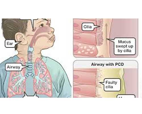 怀孕几周可以香港验血_香港验血查男女需要多少钱_性别鉴定真会翻盘吗