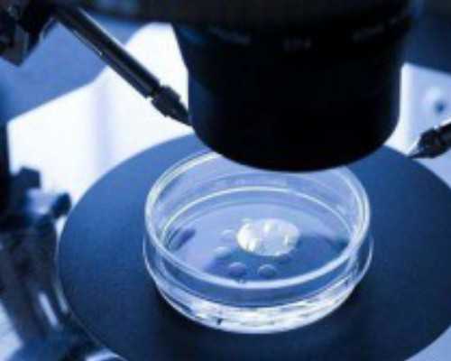 怎样香港验血查性别邮寄_香港验血验男女准不准呀_性别鉴定是男孩会翻盘么