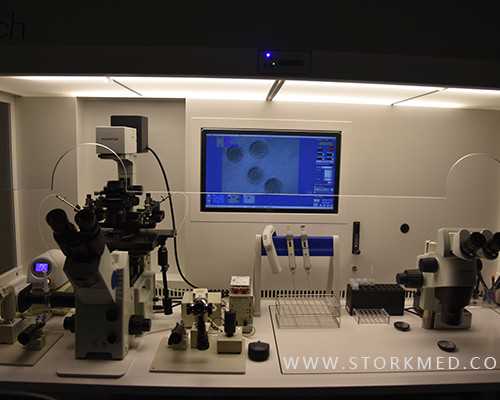 香港验验血报告发邮箱怎么会丢失呢_香港验血机构那个好准不准,验血查男女真