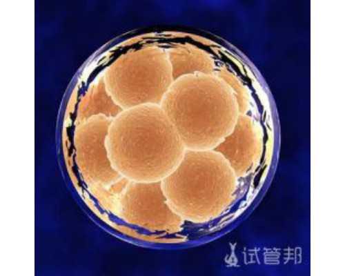 香港验血女孩生了男孩还是女孩_香港性别验血_性别鉴定多少钱!