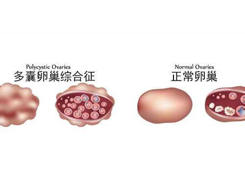 李成儒演过古玩电视剧_“美术作品中的青春——中国美术馆藏经典作品展”在