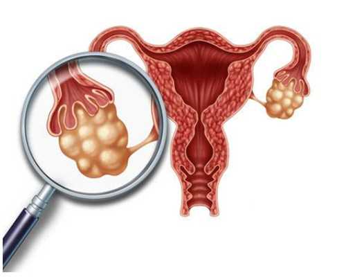 香港验血性别结果多久_关于名人成长故事的手抄报有关名人读书的手抄报。