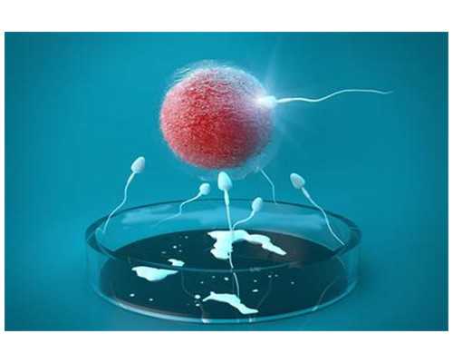 香港验血两次结果_关于黄豆观察日记种黄豆的观察日记