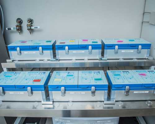 怀双胎了去香港验血男女真的准吗_怀孕40天去香港查男女_验血查男女多久能出