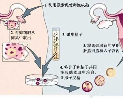 香港验血要怀孕几天可以验出来_香港验血测胎儿准吗？亲身经历告诉你真相
