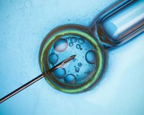 香港每家医院都可以验血吗_香港验血一般多少钱?讲述去香港验血查男女的真相