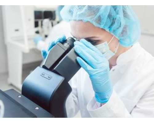 中华古玩交易网梅花木雕_《丹枫呦鹿图》 中的绚烂秋色