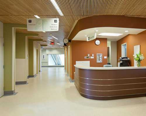 古玩拍卖网哪个好_快手酒酿