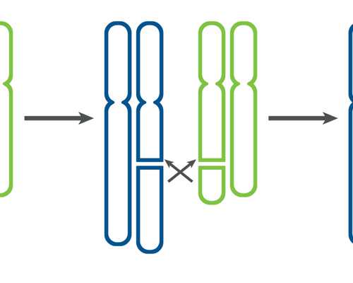 香港验血第二天出结果_怀孕香港抽血看性别真实吗?流程手续如何？