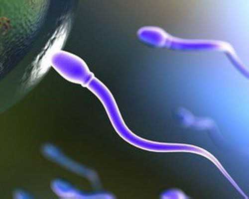 香港验血邮寄样本超过多久会失效_香港血液查胎儿性别准不准?你想知道的流程