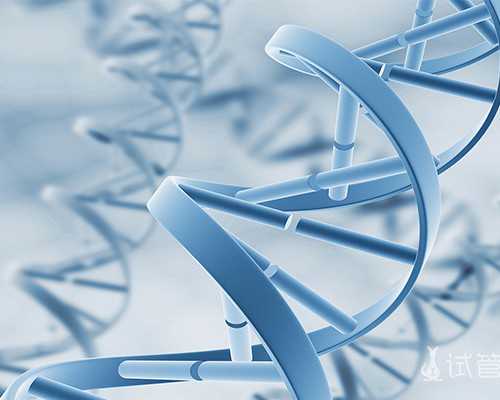 上海古玩市场都是礼拜几_腰腹部赘肉怎么瘦腰腹部赘肉多怎么减