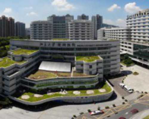 全国各地古玩市场一览表_Natura morta