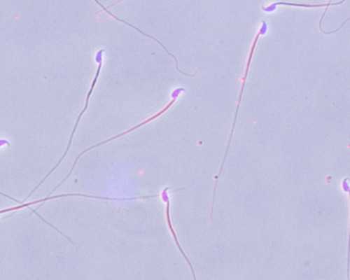 香港验血第二天中午出结果吗_香港验血报告单图女孩?讲述去香港验血查男女的