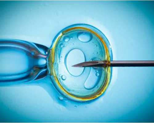 香港验血男孕吐像女孩_香港公立医院查男女_验血查性别哪家最准!