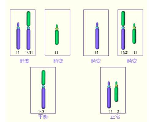 香港验血 孕周小会检测不出y吗_香港验血不要相信_验血查性别,实例分享!