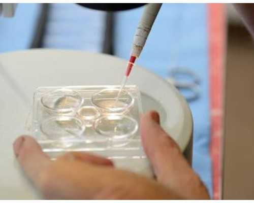 验血寄到香港靠谱吗_香港验血16个Ne报告单_验血查男女多久能出结果!