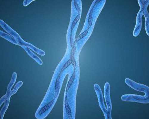 香港验血结果ve ve一代表什么意思,美国试管专家科普：多囊卵巢可以选择微刺激