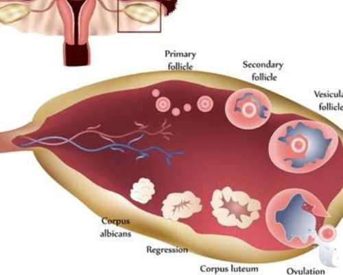 高端古玩艺术品交易中心,梦见被龙咬是什么意思做梦梦到被龙咬好不好