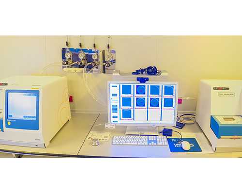 香港验血一个月查男女,支原体感染可以做试管婴儿吗?