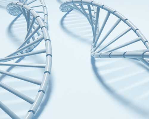 香港验血中午出结果吗_怎样预约香港达雅高_性别鉴定该如何预约!