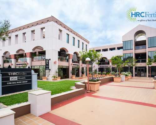 李成儒古玩虫全集4集_男人增肌如何正确饮食