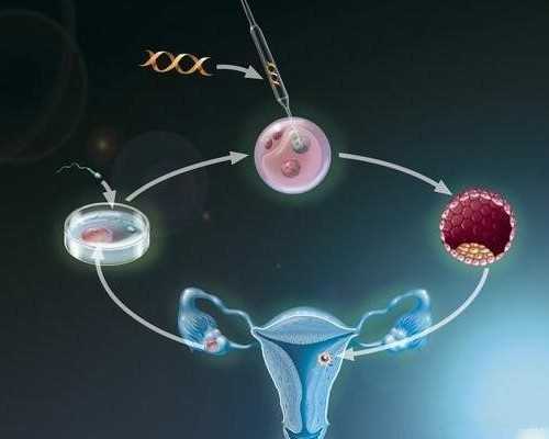 香港40天验血男女准吗_香港medtimes验血报告准不准,查性别是真的还是假的