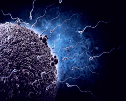 三年前输过血会影响香港验血结果么,一些影响女性经期睡眠的因素，不可忽视