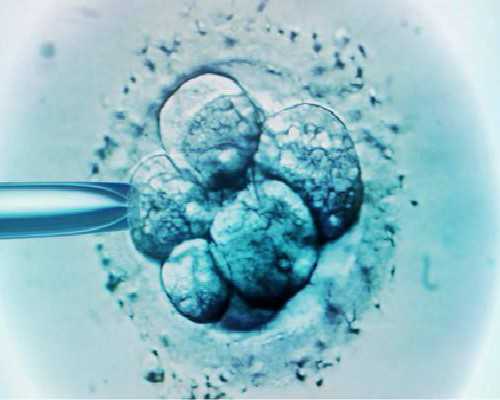 西安最大的古玩交易_解读西方艺术 反叛造就辉煌——王端廷访谈