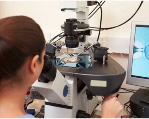 香港验血妇幼准吗_血检hcg大概多少钱,鉴定胎儿性别准确率高吗？