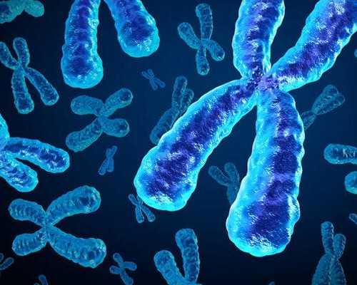 香港公立医院能验血男女吗_香港验血准妈条件_给大家的建议!