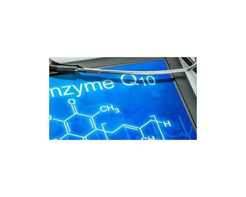 香港验血女孩的报告单_令我感动的一件事500字作文，找一篇《令我感动的一件